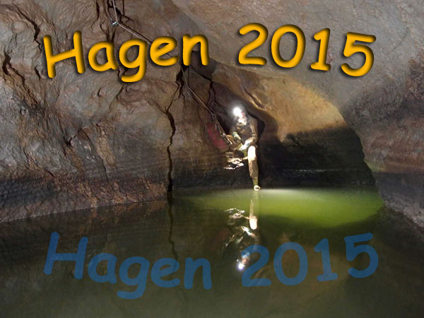 Hagen 2014