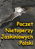 Poczet Nietoperzy Jaskiniowych Polski